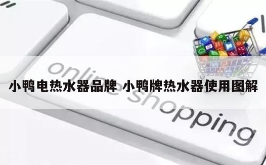 小鸭电热水器品牌 小鸭牌热水器使用图解