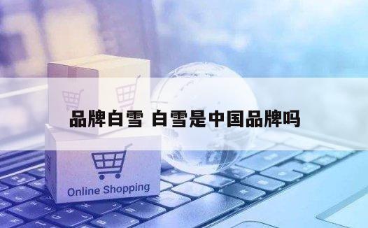 品牌白雪 白雪是中国品牌吗