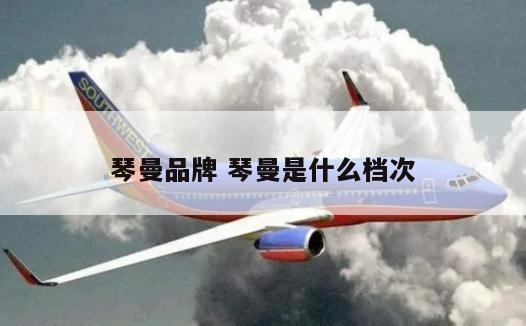 琴曼品牌 琴曼是什么档次