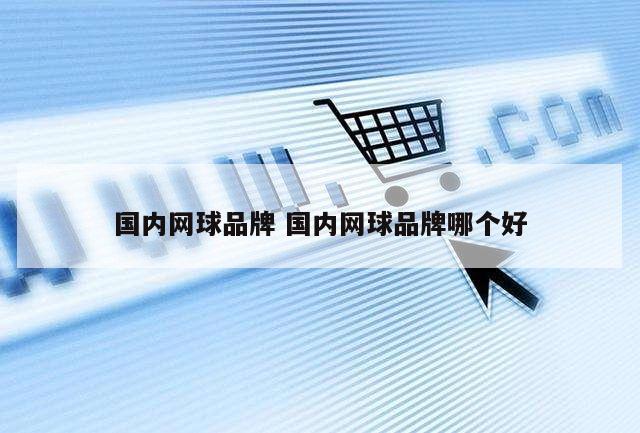 国内网球品牌 国内网球品牌哪个好