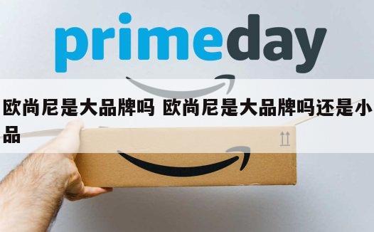 欧尚尼是大品牌吗 欧尚尼是大品牌吗还是小品