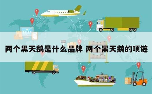 两个黑天鹅是什么品牌 两个黑天鹅的项链