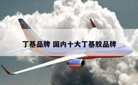 丁基品牌 国内十大丁基胶品牌