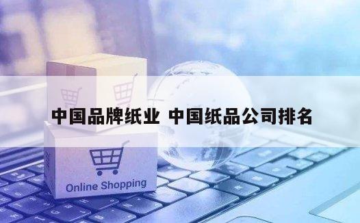 中国品牌纸业 中国纸品公司排名