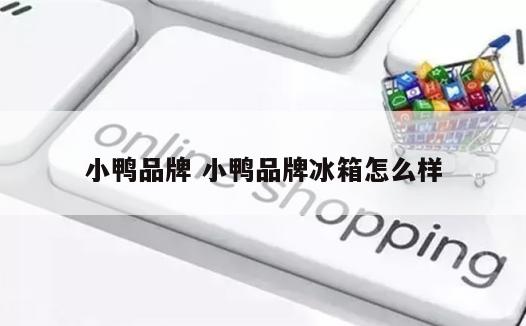 小鸭品牌 小鸭品牌冰箱怎么样