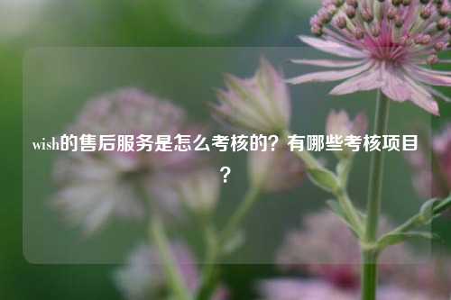wish的售后服务是怎么考核的？有哪些考核项目？