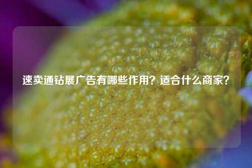 速卖通钻展广告有哪些作用？适合什么商家？