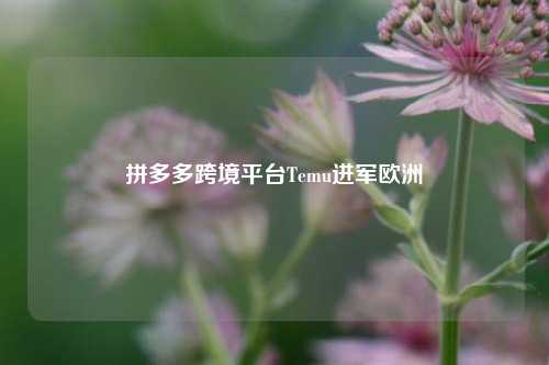 拼多多跨境平台Temu进军欧洲