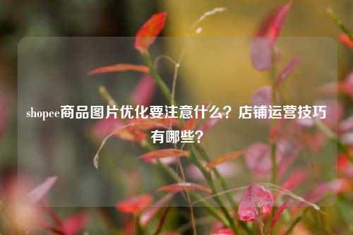 shopee商品图片优化要注意什么？店铺运营技巧有哪些？