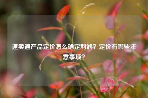 速卖通产品定价怎么确定利润？定价有哪些注意事项？