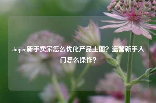 shopee新手卖家怎么优化产品主图？运营新手入门怎么操作？