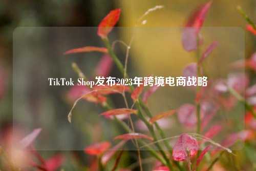 TikTok Shop发布2023年跨境电商战略