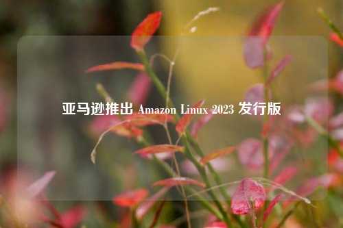 亚马逊推出 Amazon Linux 2023 发行版